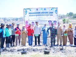 Menuju Swasembada Jagung, Bupati Bantaeng Bersama Unhas Tanam Jagung JJUH