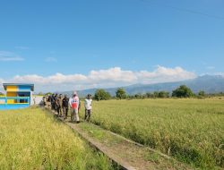 Luar Biasa, Pertanian Bantaeng Tetap Tumbuh 1,97 Persen di Tengah Tekanan Kemarau